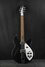 Rickenbacker 330/6 , Matte Black: Full Instrument - Front