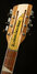Mar 2023 Rickenbacker 660/12 , Mapleglo: Headstock
