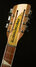 Mar 2023 Rickenbacker 660/12 , Mapleglo: Headstock