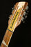 Mar 2023 Rickenbacker 660/12 , Mapleglo: Headstock