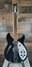 Rickenbacker 330/12 , Jetglo: Full Instrument - Front