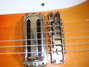 Rickenbacker 360/6 , Fireglo: Free image