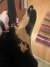 Rickenbacker 4001/4 Mod, Jetglo: Body - Rear