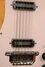 Rickenbacker 450/12 , Natural: Close up - Free