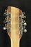 Rickenbacker 660/12 , Mapleglo: Headstock - Rear