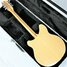 Rickenbacker 370/12 , Mapleglo: Full Instrument - Rear