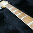 Rickenbacker 370/12 , Mapleglo: Neck - Front