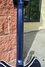 Rickenbacker 1993/12 Plus, Midnightblue: Neck - Rear