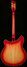 Rickenbacker 360/6 21 frets, Fireglo: Full Instrument - Rear