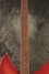 Rickenbacker 330/12 , Fireglo: Neck - Front