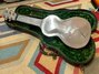 Rickenbacker NS 100/6 LapSteel, Chrome: Full Instrument - Rear