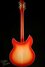 Rickenbacker 360/12 C63, Fireglo: Full Instrument - Rear