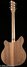 Rickenbacker 360/6 21 frets, Natural Walnut: Full Instrument - Rear