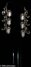 Rickenbacker 660/12 , Jetglo: Headstock - Rear