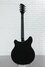 Rickenbacker 360/6 , Jetglo: Full Instrument - Rear