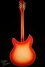 Rickenbacker 360/12 C63, Fireglo: Full Instrument - Rear