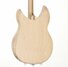 Feb 2010 Rickenbacker 330/6 , Mapleglo: Body - Rear