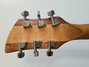 Rickenbacker 650/6 Dakota, Natural Walnut: Headstock - Rear