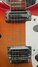 Rickenbacker 381/6 V69, Fireglo: Free image