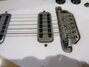Rickenbacker 950/6 Tulip, Mapleglo: Close up - Free2