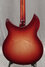 Feb 2009 Rickenbacker 330/6 , Fireglo: Body - Rear