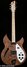 Rickenbacker 330/6 , Natural Walnut: Full Instrument - Front