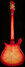 Rickenbacker 660/6 , Fireglo: Full Instrument - Rear