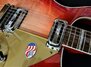 Rickenbacker 660/6 , Fireglo: Close up - Free