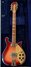 Rickenbacker 660/6 TP, Fireglo: Full Instrument - Front