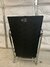 Rickenbacker Transonic 200 Cab/amp , Black: Full Instrument - Rear