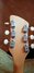 Rickenbacker 430/4 Mod, Natural Walnut: Headstock - Rear