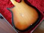 Dec 1959 Rickenbacker 425/6 Refin, Custom: Body - Rear