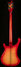 Rickenbacker 4003/4 , Fireglo: Full Instrument - Rear
