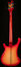 Rickenbacker 4003/4 , Fireglo: Full Instrument - Rear