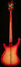 Rickenbacker 4003/4 , Fireglo: Full Instrument - Rear