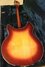 Rickenbacker 360/6 WB, Fireglo: Full Instrument - Rear