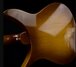 Rickenbacker 350/6 Mod, Autumnglo: Body - Rear
