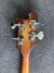 Rickenbacker 4003/4 , Autumnglo: Headstock - Rear