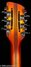 Rickenbacker 360/12 Limited Edition, Satin Autumnglo: Headstock - Rear