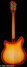 Rickenbacker 360/12 Limited Edition, Satin Autumnglo: Full Instrument - Rear