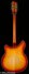 Rickenbacker 360/12 Limited Edition, Satin Autumnglo: Full Instrument - Rear