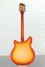 Rickenbacker 360/12 Limited Edition, Satin Autumnglo: Full Instrument - Rear