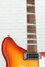 Rickenbacker 360/12 Limited Edition, Satin Autumnglo: Neck - Front