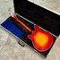 Rickenbacker 370/12 , Fireglo: Full Instrument - Rear