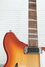 Rickenbacker 360/12 Limited Edition, Satin Autumnglo: Neck - Front