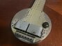Rickenbacker A22/6 LapSteel, Gold: Body - Front