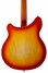 Rickenbacker 360/12 Limited Edition, Satin Autumnglo: Body - Rear