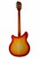 Rickenbacker 360/12 Limited Edition, Satin Autumnglo: Full Instrument - Rear