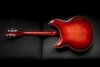 Rickenbacker 381/6 , Fireglo: Neck - Rear
