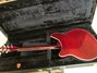 Rickenbacker 360/6 Mod, Burgundy: Full Instrument - Rear